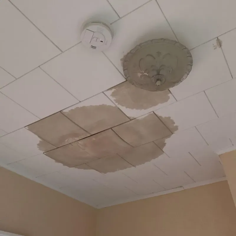Ceiling Water Damage Repair in Durant, OK