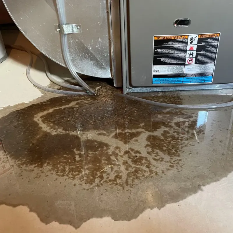 Pipe Burst and Leak Restoration in Durant, OK
